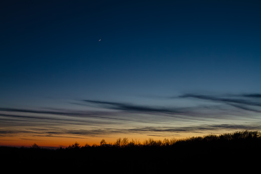 Dusk over the forest in a clod winter evening. Intense colors and the little waxing moon decorate the sky