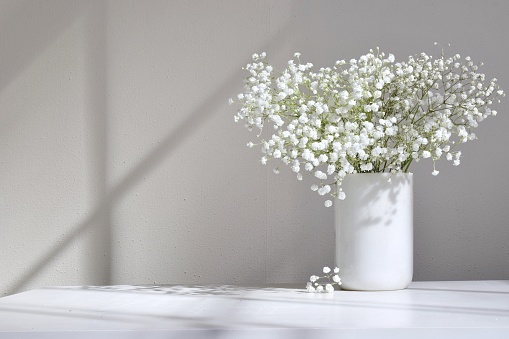 White flowers in a white vase