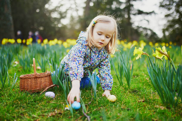 fille de trois ans jouant la chasse aux oeufs sur pâques - child easter flower little girls photos et images de collection