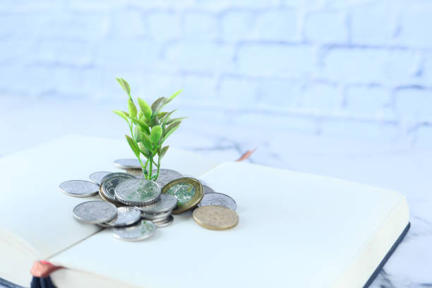 istock Close up of young plan growing through coins. 1304392573
