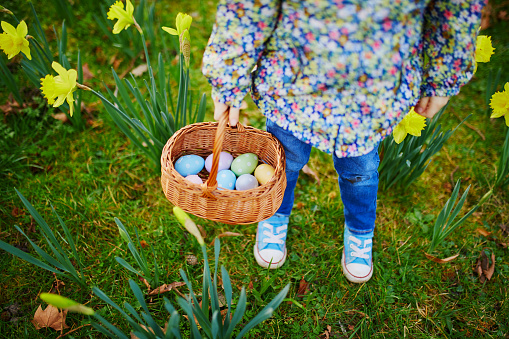 Little girl playing egg hunt on Easter. Child holding basket full of colorful eggs. Little kid celebrating Easter outdoors in park or forest