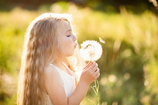 Happy child blowing dandelion outdoors in park. Summer joy. Make a wish. Dream and imagination concept. emotional happy girl.