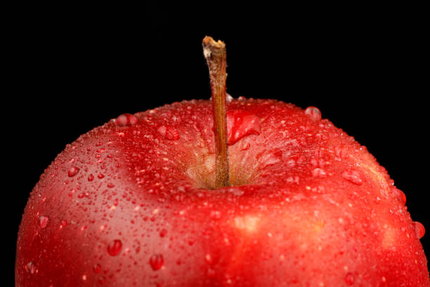 istock red chief variety Red beautiful apple close-up 1304402571