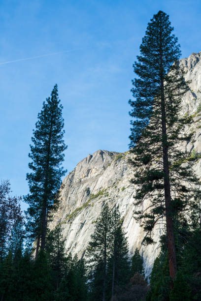 冬のシーズン中にヨセミテ国立公園のヨセミテ滝トレイルをハイキング - yosemite national park winter waterfall california ストックフォトと画像