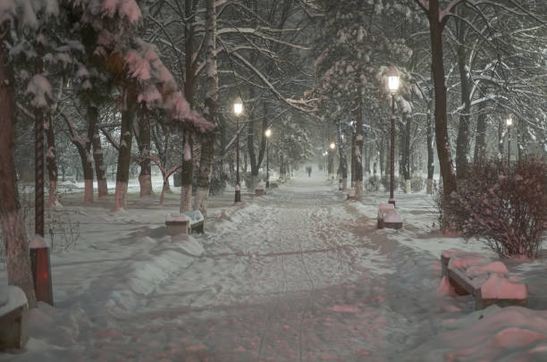 istock beautiful city park during heavy snowfall with snow 1304407557
