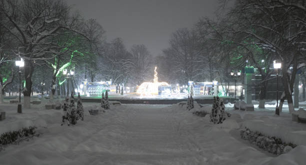 istock beautiful city park during heavy snowfall with snow 1304407570