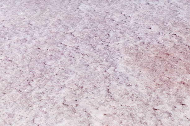 istock Pink salt in salt lake as textured background. Salt background. 1304419403