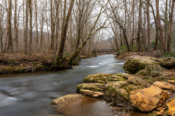 istock Georgia Mountain Stream on Overcast Winter Day 1304420298