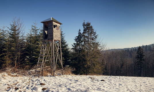 Woman has climbed ladder up to the hunt shelter on top of the hill to use it as point of view.\nShot with Canon R5