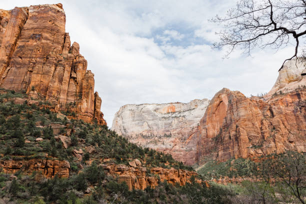 istock Cloudy day in Zion National Park, Utah 1304423908