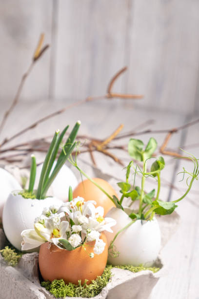 istock easter decor in a natural style. The eggshell is decorated with flowers and leaves. The composition uses product packaging, Zero waste and upcycling. birch branches, blur and selective focus 1304425113