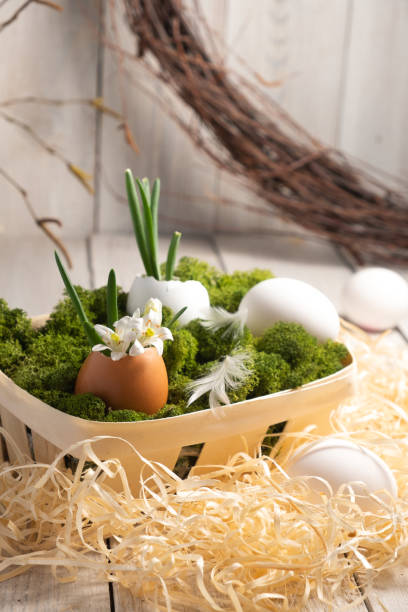istock Home interior with easter decor in a natural style. Flowers in an eggshell. Zero waste concept and handmade selfmade decor 1304425653