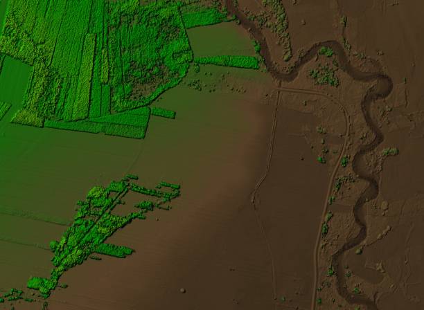 istock Digital elevation model of a forest area with a river. 1304427069
