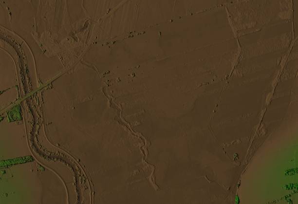 istock Digital elevation model of a swamp area with a river and small trees. 1304427125