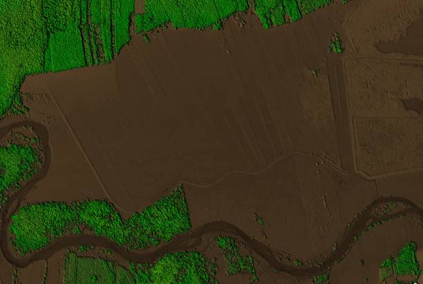 istock Digital elevation model of a forest area with a river. 1304427194