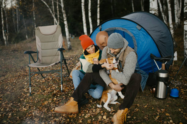 istock Young avantur couple is camping 1304427583