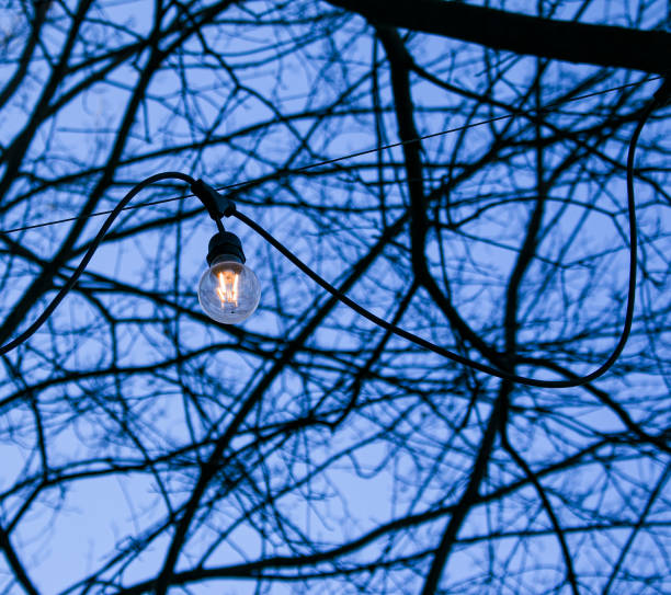 istock Decor light bulbs on blue sky outdoors. Branches in the background. 1304428392