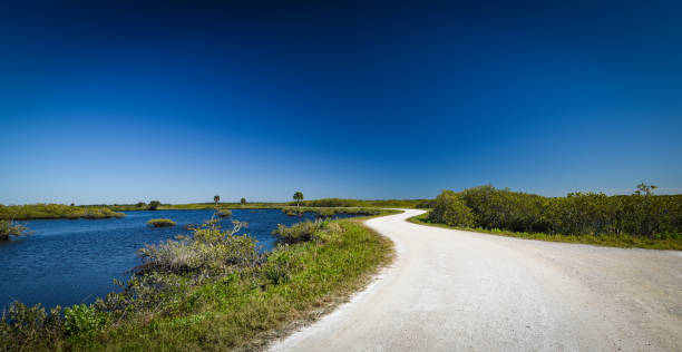 istock Beautiful and natural Florida 1304430008