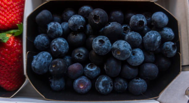 istock Delicious and healthy blueberries 1304430226
