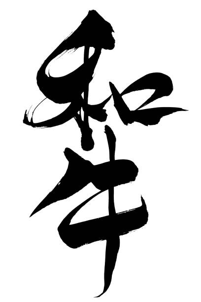 ilustraciones, imágenes clip art, dibujos animados e iconos de stock de texto japonés "wagyu(carne japonesa) " caligrafía escrita a mano con un cepillo - kanji japanese script food japan