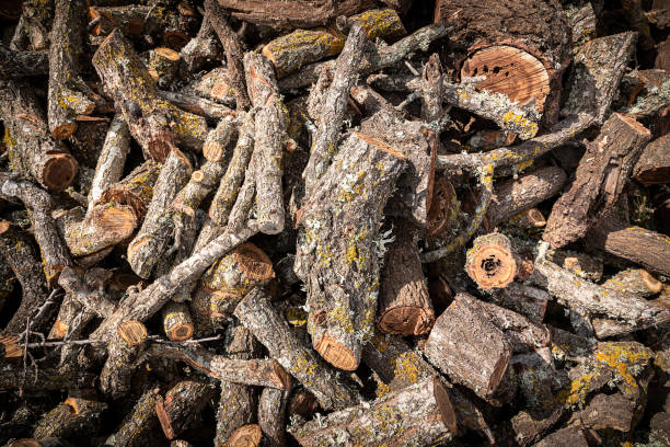 istock Pile of firewood 1304434754