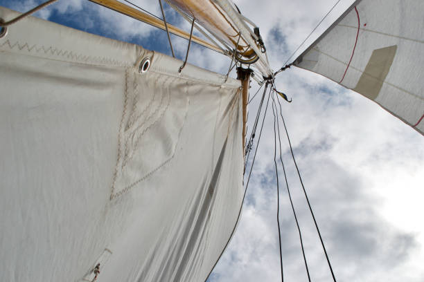 Looking up the mast of a gaff rigged sailing yacht Looking up the mast of a gaff rigged sailing yacht: white sails, wooden mast and gaff, rope shrouds, halyards and sheets, and blue cloudy sunny sky gaff rigged stock pictures, royalty-free photos & images