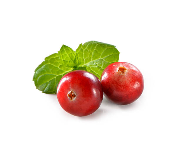 istock two cranberries with mint leaf close-up isolated on white background 1304441327