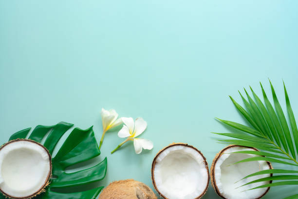 istock Tropical green palm leaf and cracked coconut on Green background. 1304452264