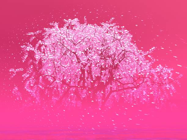 istock Fantastic landscape of Sky and Cherry Blossoms 1304455909