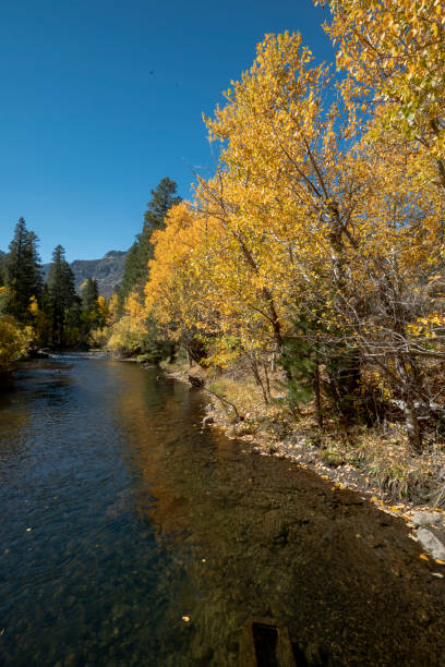 istock Lake Sabrina Fall Foliage 1304458434