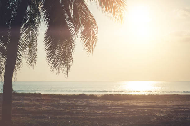 istock Tropical nature clean beach sunset sky time with sun light background. 1304459994