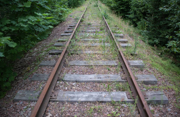istock Abandoned railway in the forest 1304462581