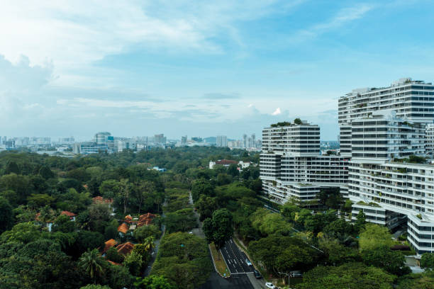 istock Smart homes in Singapore surrounded by tropical rainforest 1304469289