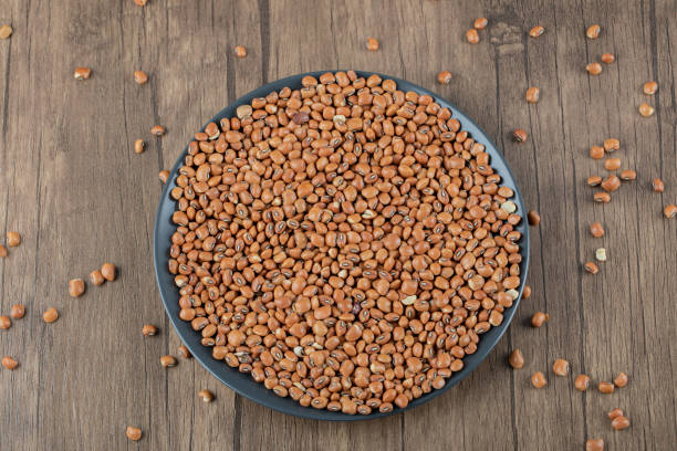 istock A dark plate full of dried raw red beans 1304469892