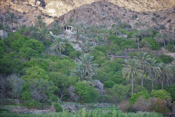 istock Wakan Village in Oman 1304470056