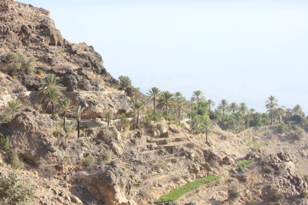 istock Wakan Village in Oman 1304470707