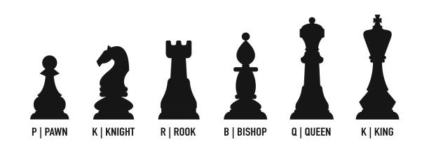 체스 조각 아이콘 이름과 이름. 보드 게임. 흰색 배경에 고립 된 검은 체스 실루엣 - black hobbies chess knight chess stock illustrations