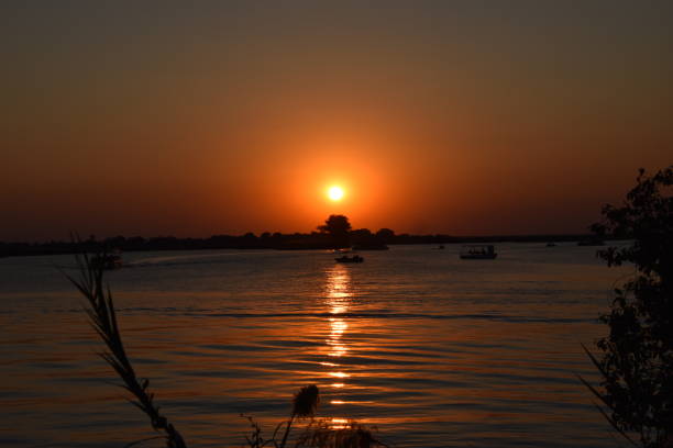 istock Chobe National Park sunset 1304472485