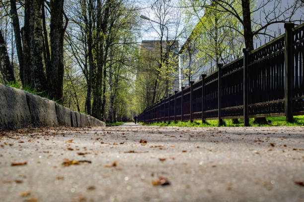 istock Tile alley in the park in park 1304473976