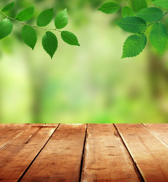 istock spring background with wooden planks 1304476517