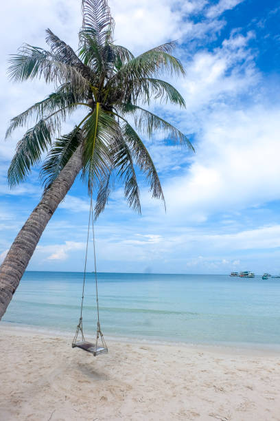 istock Palm Tree in a beach in Vietnam 1304477595