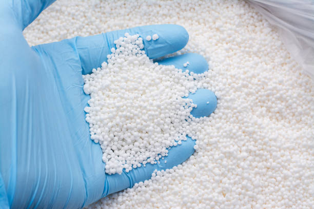 istock Hand in blue glove holds white fertilizer for plants 1304477853
