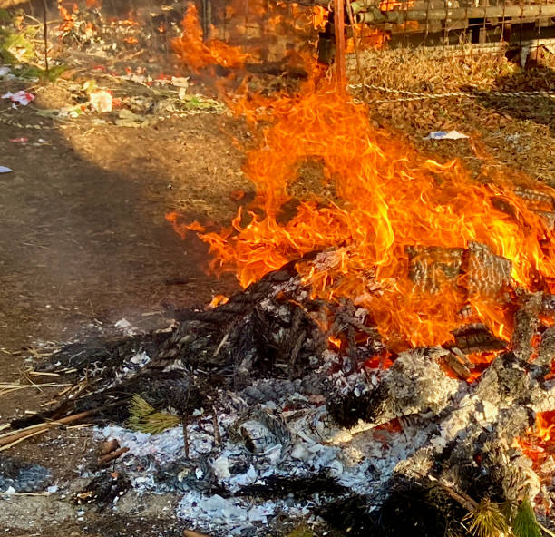 istock a bonfire in the outdoor life 1304477914