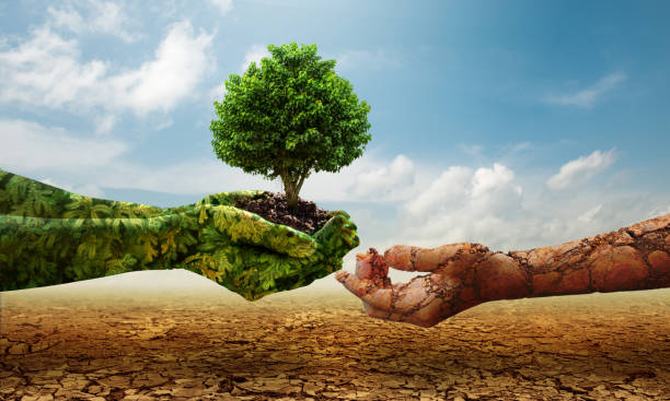 istock Green hands holding tree growing and dry soil hand on crack earth. Saving environment and natural conservation concept. 1304478495