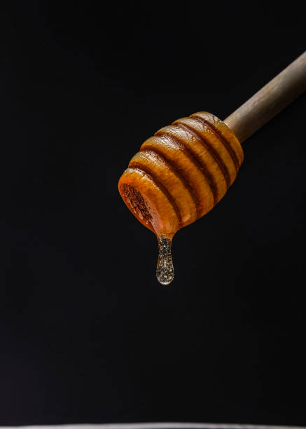 istock Honey bee dwe Photogra[hy] 1304479605