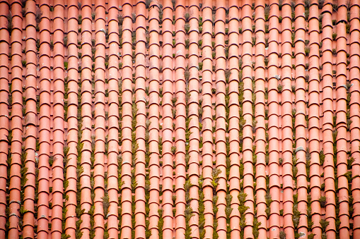 Red clay tile roof and moss, full frame view. Galicia, Spain.
