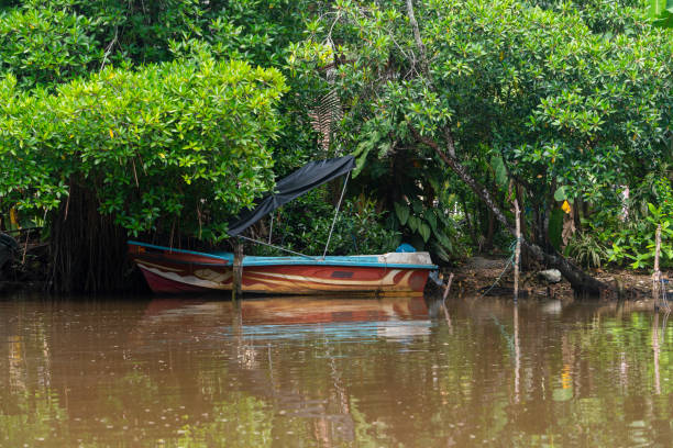 istock A boat moored on Bentota River, Sri Lanka. 1304487305