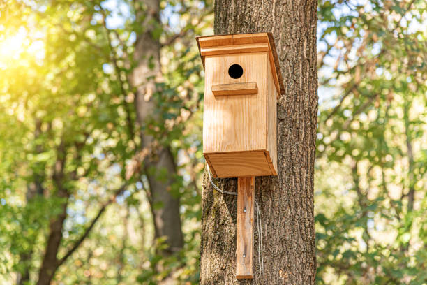 istock Wooden birdhouse for birds on a tree. 1304487901