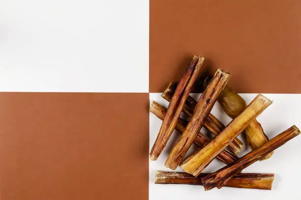 Photo of Dried bovine penis, bully sticks, beef pizzle for dogs on a brown and white background.