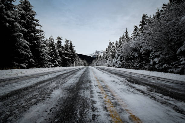 The Road Less Traveled Desolate road in the wilderness outside of Juneau, Alaska. Traveled stock pictures, royalty-free photos & images